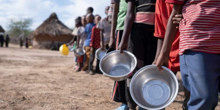 Middle East Crisis Threatens Food Security in Africa - WFP (News Central TV)