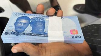 CBN Restricts Credit Access for Loan Defaulters