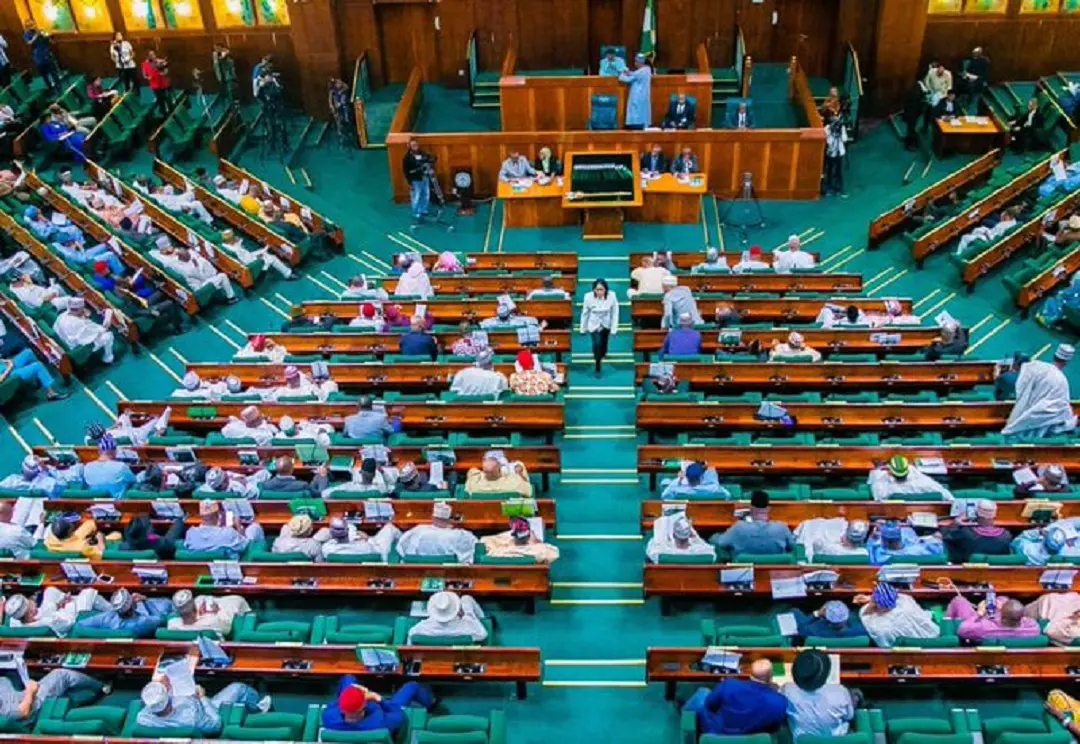 Reps Prescribe Jail Term For Dual Party Membership