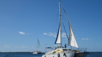 Sailboats (News Central TV)