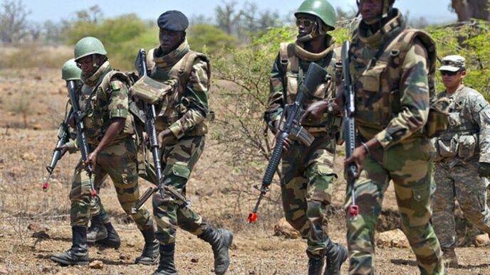 Senegalese Troops Clash With Armed Groups
