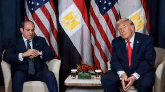 Sisi (News Central TV)