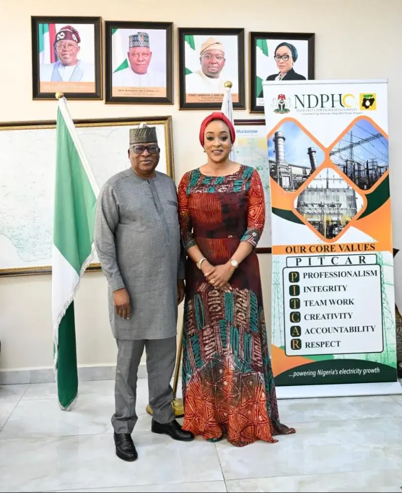 Togo Plans to Import More Nigerian Electricity