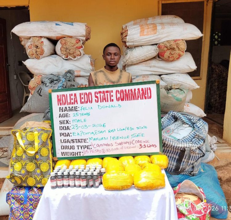 NDLEA Intercepts Cocaine Concealed in Stock Fish (News Central TV).