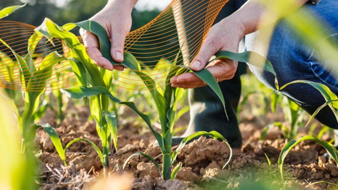 Brazil Says Nigeria Can Adapt Its Agriculture Success Model