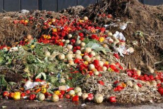38 Million Tonnes Food Wasted in Nigeria - EU