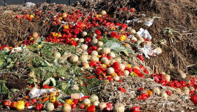 38 Million Tonnes Food Wasted in Nigeria - EU