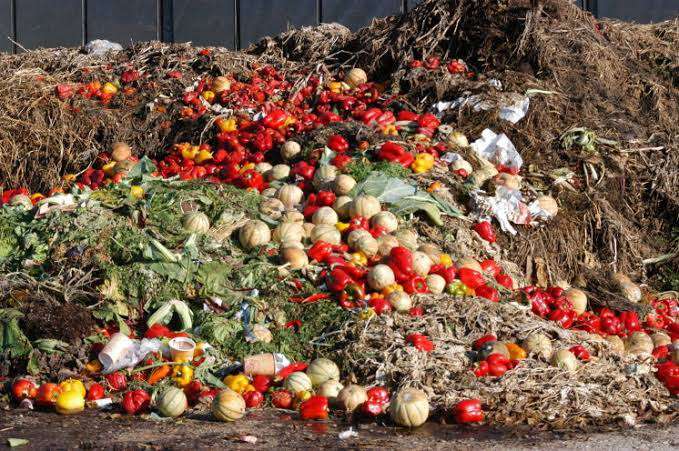 38 Million Tonnes Food Wasted in Nigeria – EU