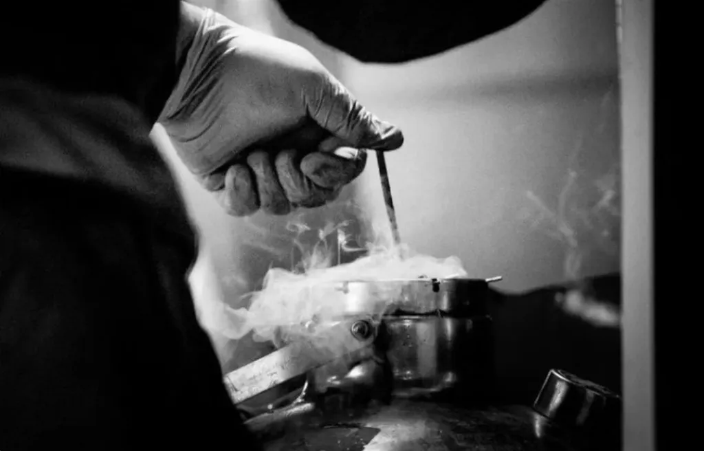 Brazil Breeders Use Technology to Predict Calf Sex