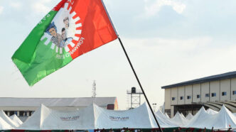 Abia LP Elects New Leadership (NewsCentral TV)