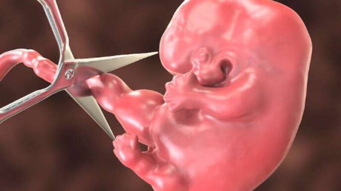 Kenyan Court Scraps Abortion as Constitutional Right