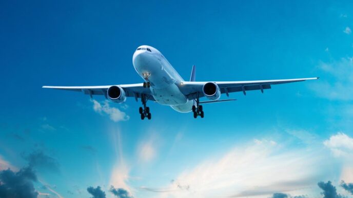 Africa's Aviation Carbon Market Gains Momentum