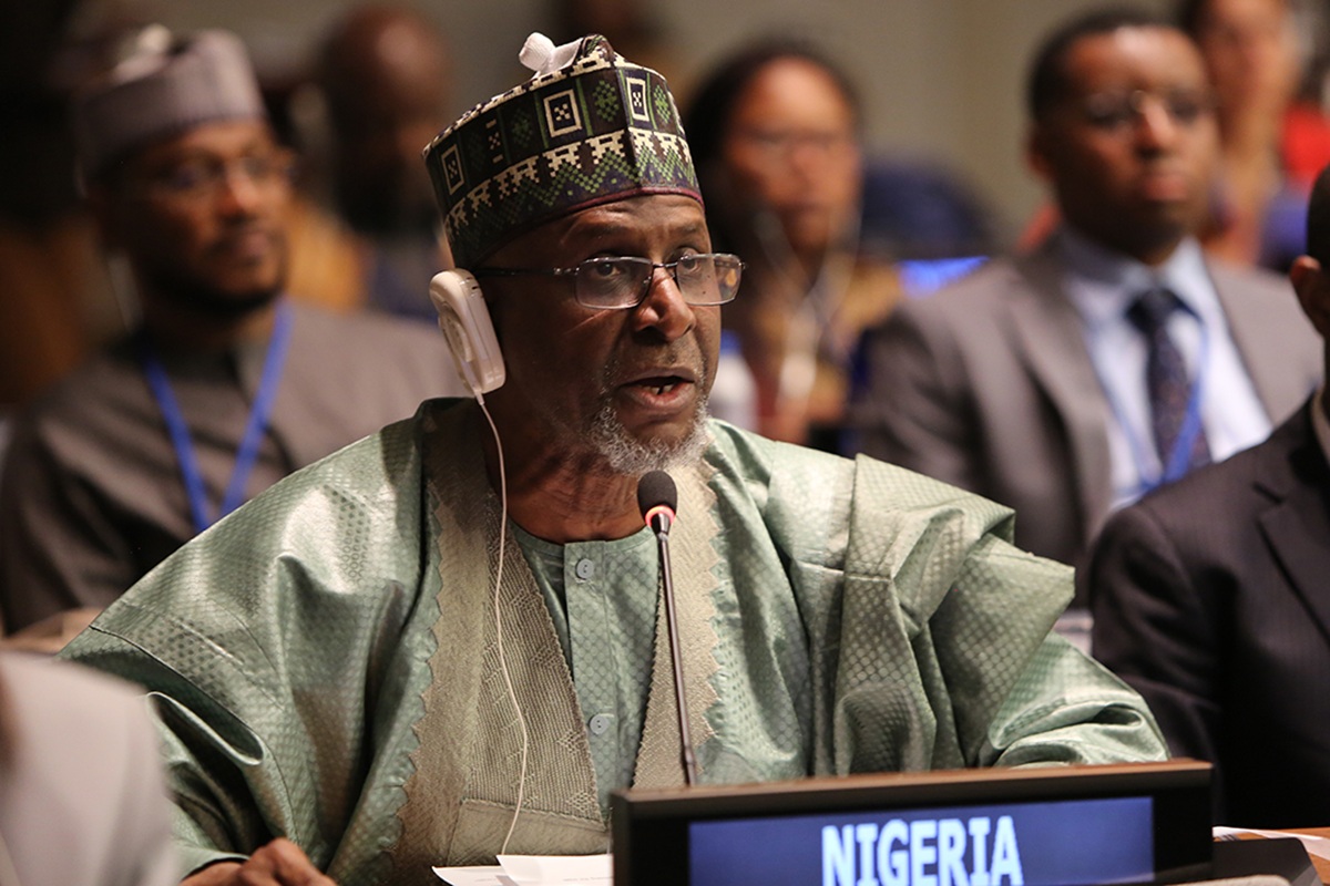Balarabe Abbas Lawal, Minister of Environment, Nigeria