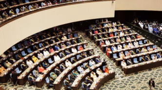 Cameroon National Assembly and Senate