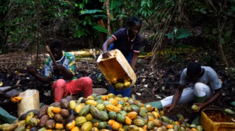 Cocoa (News Central TV)