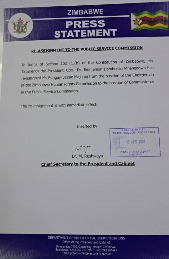 Zimbabwe President Removes Rights Commission Chair