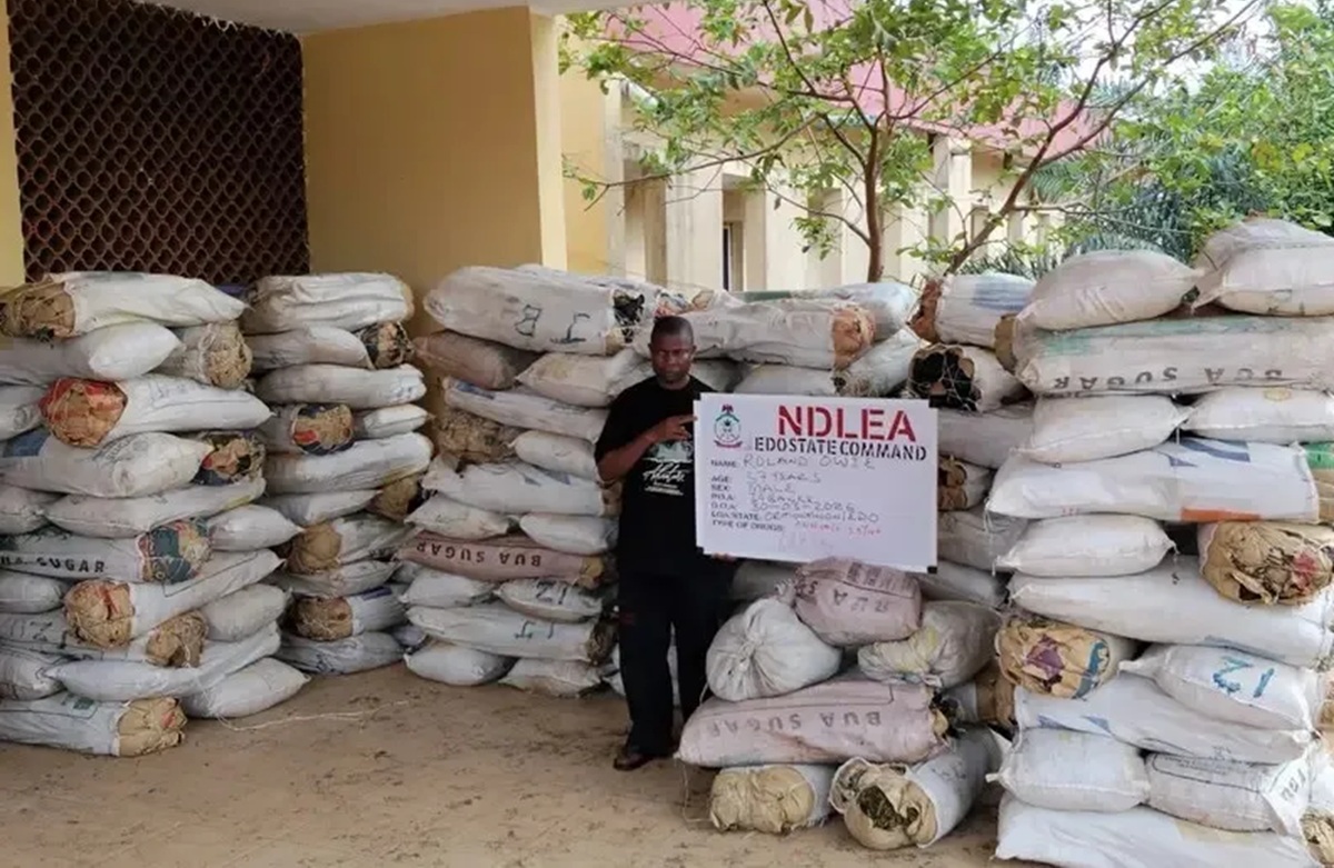 NDLEA Seizes 125 Bags of Cannabis in Edo