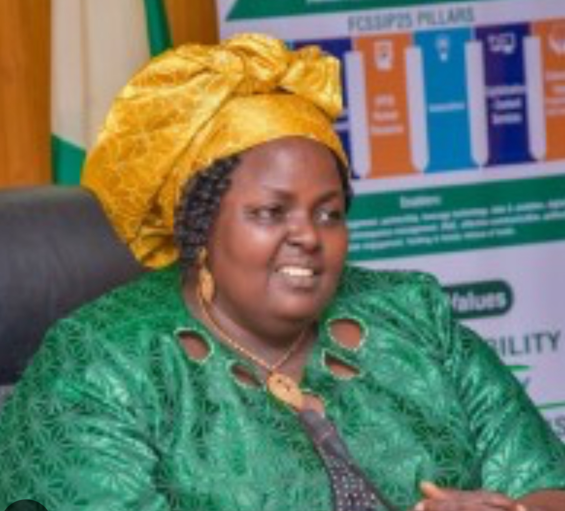 Nigeria Ends Physical Academic Certificate Verification