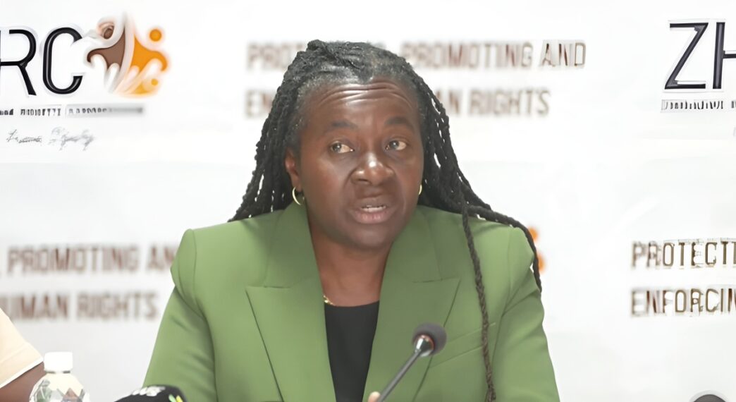 Zimbabwe President Removes Rights Commission Chair