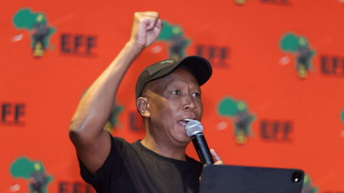 Malema (News Central TV)