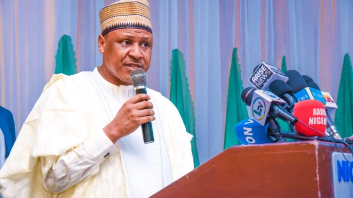 Nigerian Government Defends Borno Strike, Orders Probe