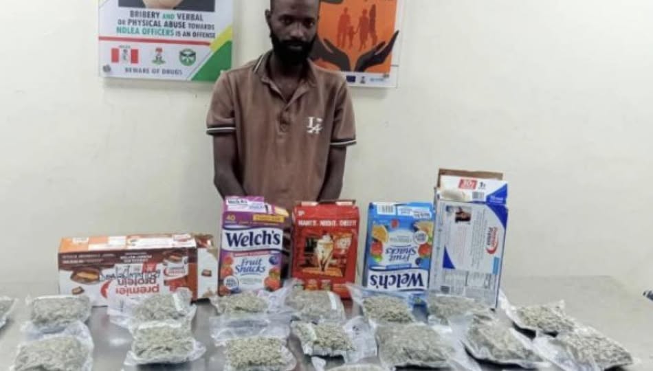 NDLEA Intercepts Cocaine Hidden in Food Flasks