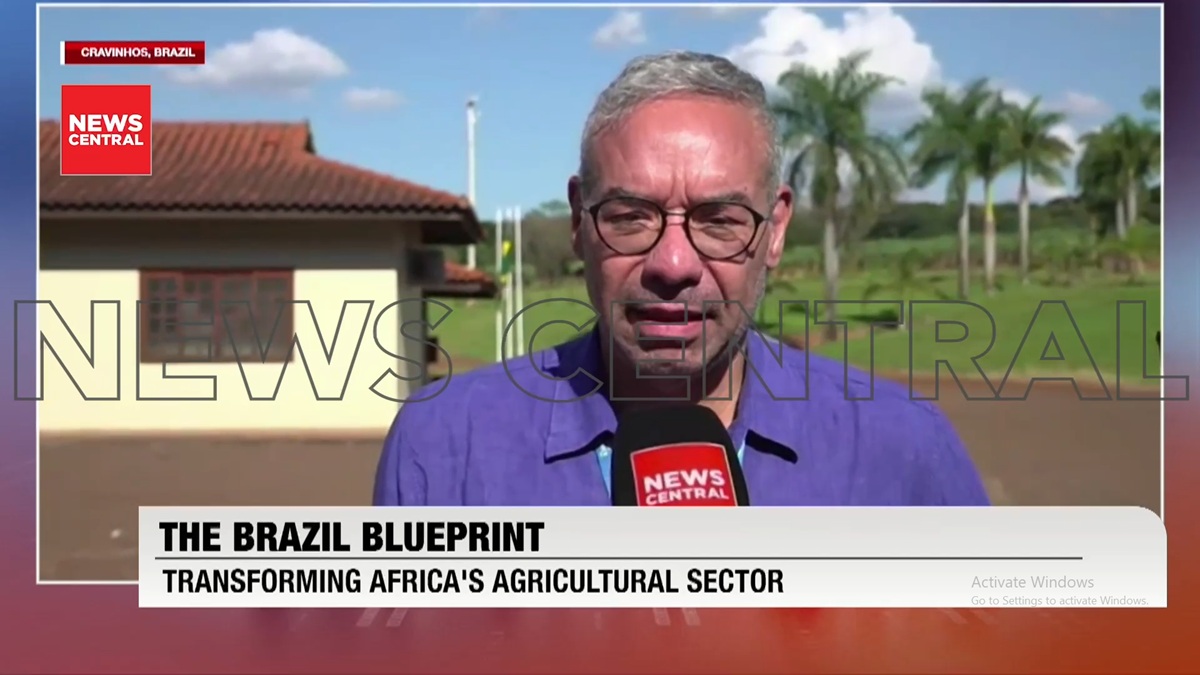 Brazil Says Nigeria Can Adapt Its Agriculture Success Model