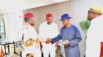 South East Ex-Governors Back Tinubu Re-election