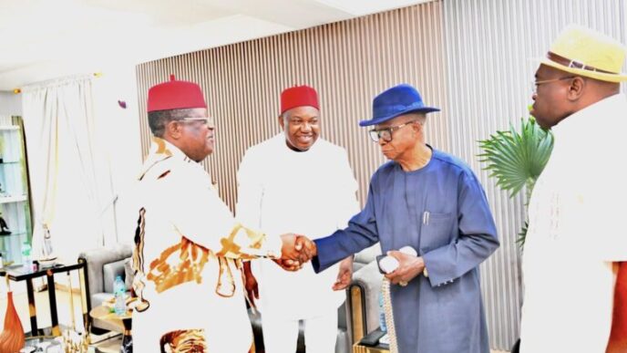 South East Ex-Governors Back Tinubu Re-election