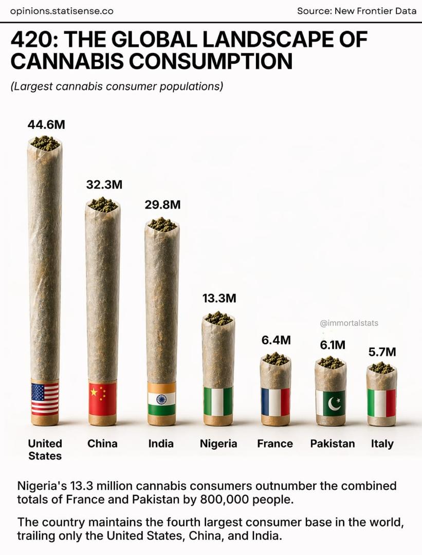 Cannabis Consumption: Rising Use, Regulation, Health Concerns 