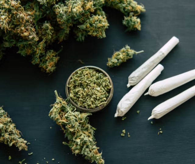 Africa’s Cannabis Market Thrives in the Shadows 