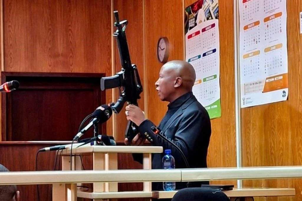 Malema (News Central TV)