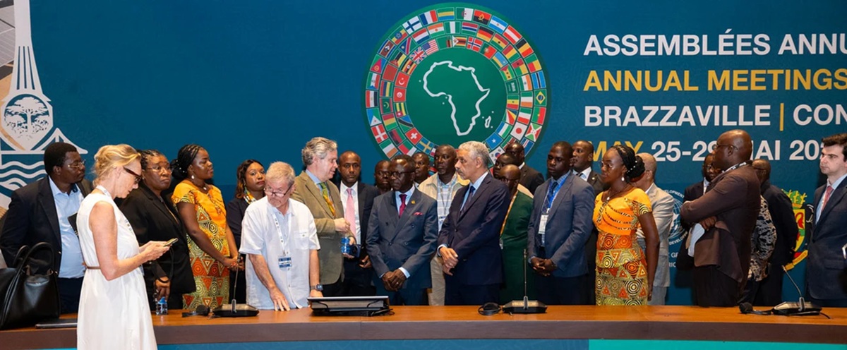 AfDB Delegates Push for Domestic Capital to Fund Development