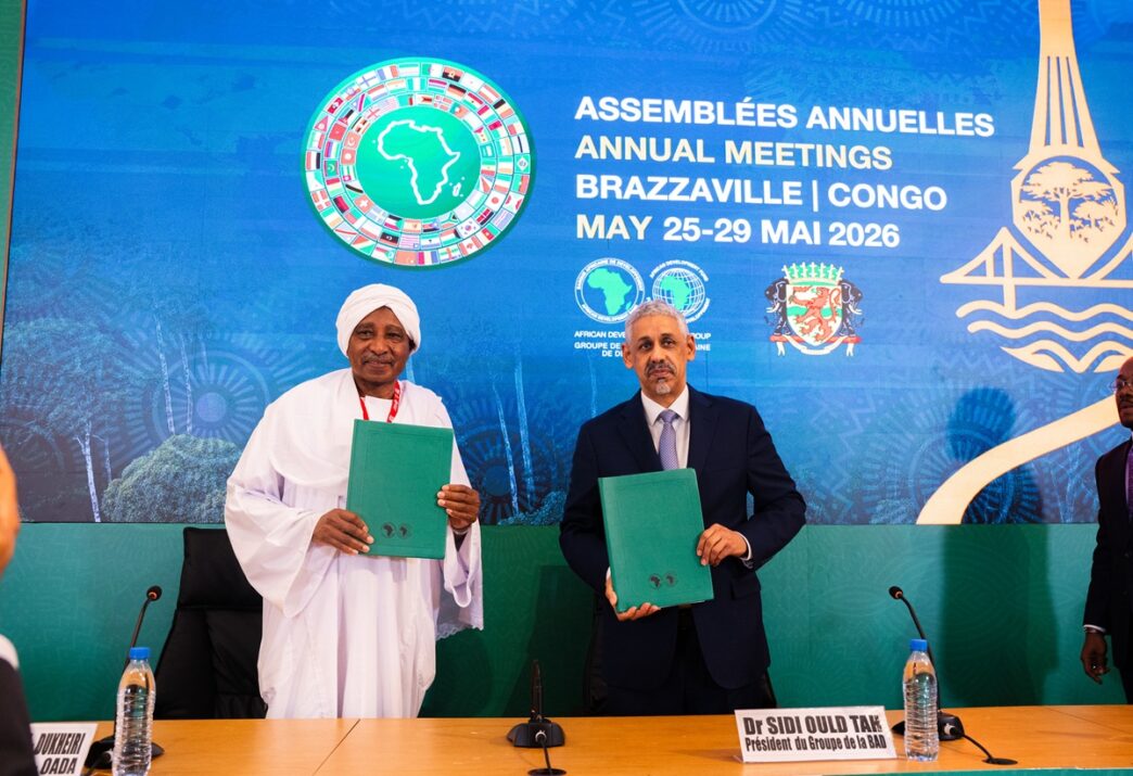 AfDB Delegates Push for Domestic Capital to Fund Development