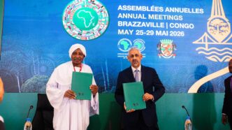 AfDB Delegates Push for Domestic Capital to Fund Development