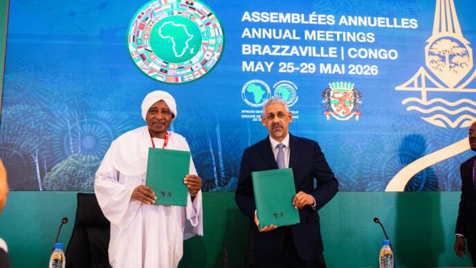 AfDB Delegates Push for Domestic Capital to Fund Development