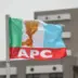 APC Reschedules Primaries in Zamfara (NewsCentral TV)
