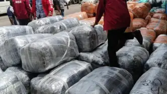 NDLEA Seizes N10.4Billion Cannabis Shipment In Lagos