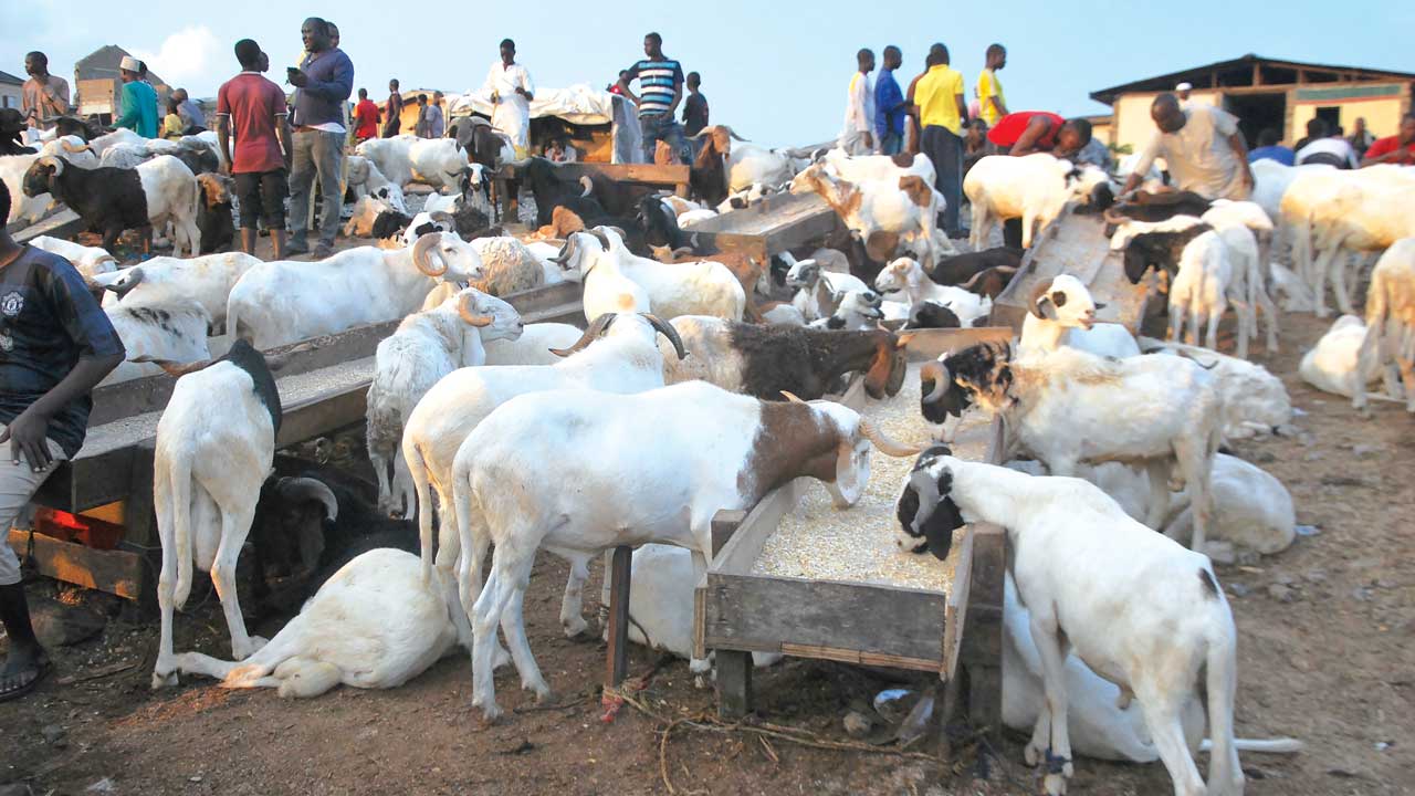 Eid-El-Kabir: FCT Police Assures Maximum Security