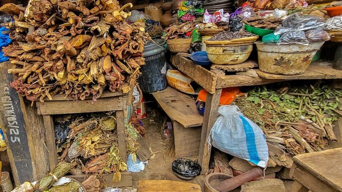 Benin Residents Embrace Herbal Medicine (News Central TV)