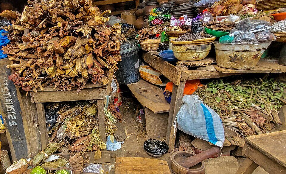 Benin Residents Embrace Herbal Medicine (News Central TV)