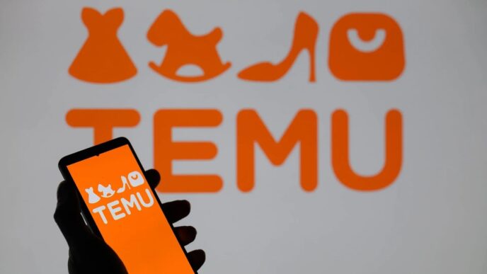 EU Fines Temu €200 Million over Illegal Products