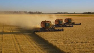 How Kenya Is Packaging Farm Debt for Global Investors