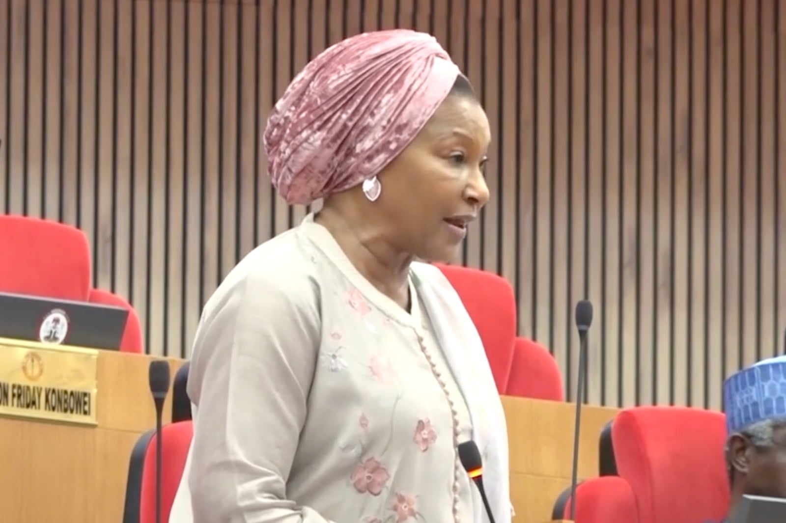 Thug Assault, Lock in Senator Ireti Kingibe During ADC Meeting