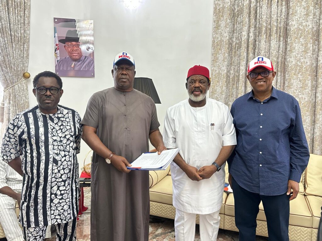 NDC Opens Primaries to All Aspirants After Deliberations