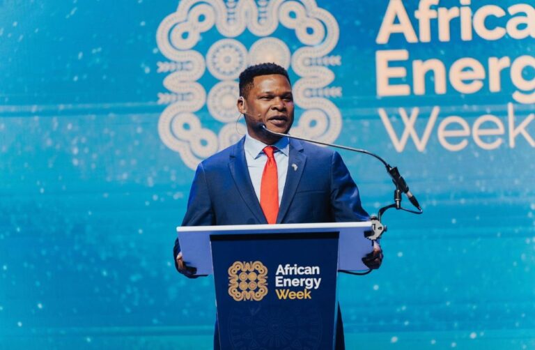 AEW: African Energy Chamber Decries Xenophobia, Afrophobia