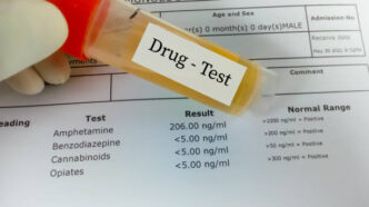 Nigeria Orders Drug Testing in Secondary Schools