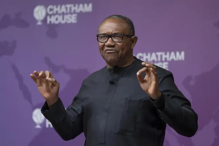 Obi Urges Stronger Global Partnerships for Development
