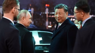 Putin (News Central TV)