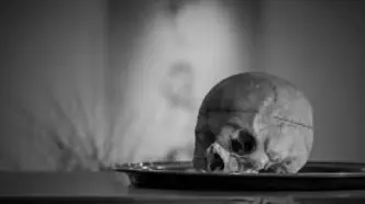 Skull (News Central TV)